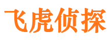 泸溪侦探公司